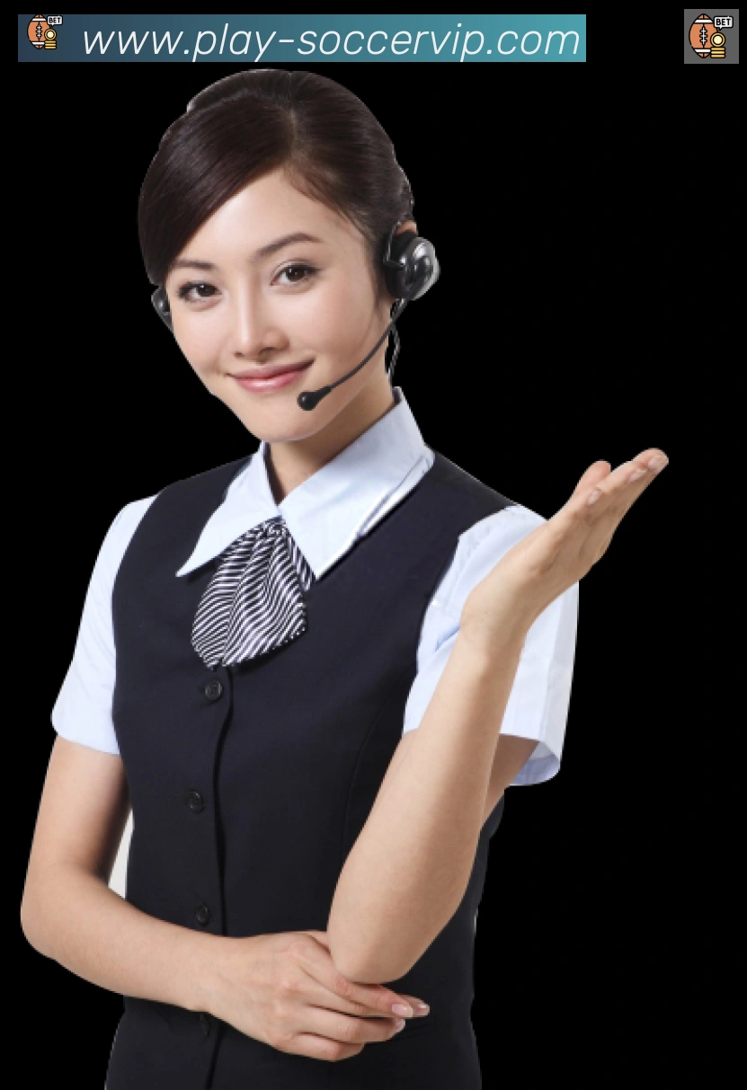 企业概况
